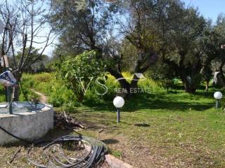 άποψη οικοπέδου