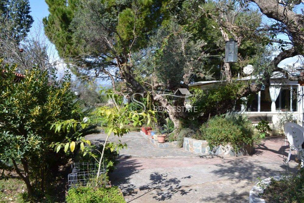 άποψη οικοπέδου