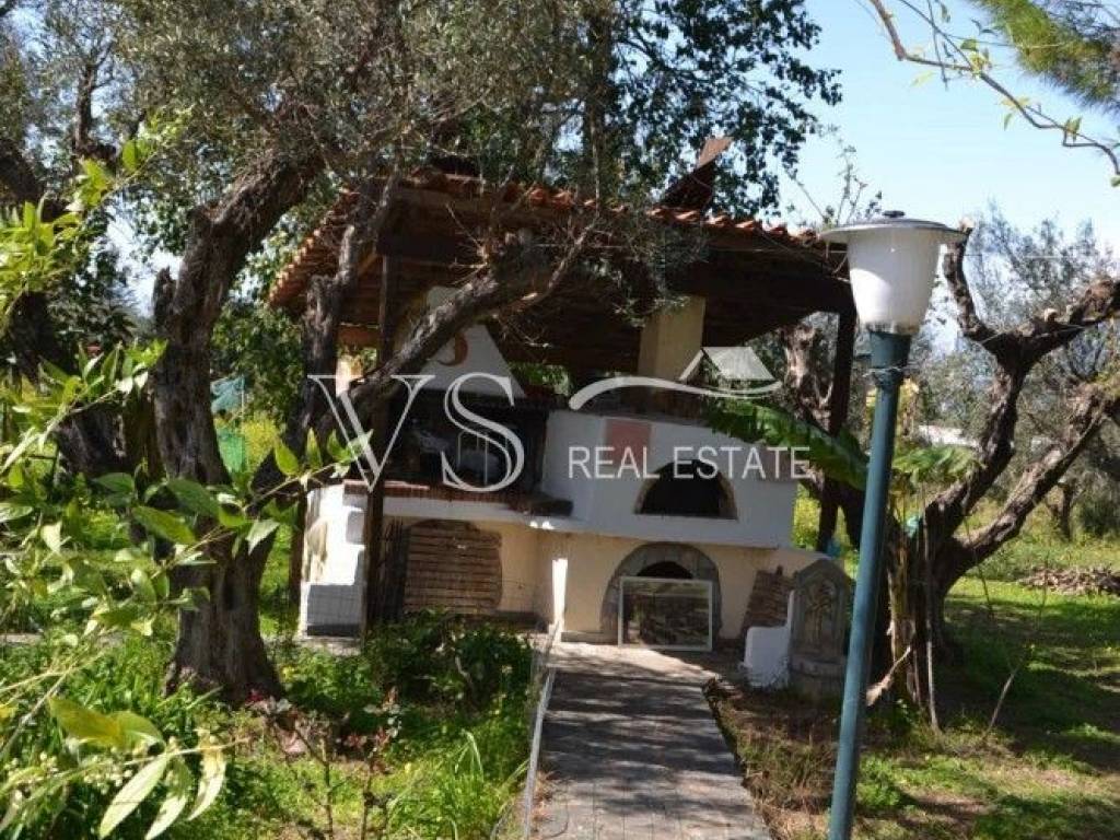 άποψη οικοπέδου