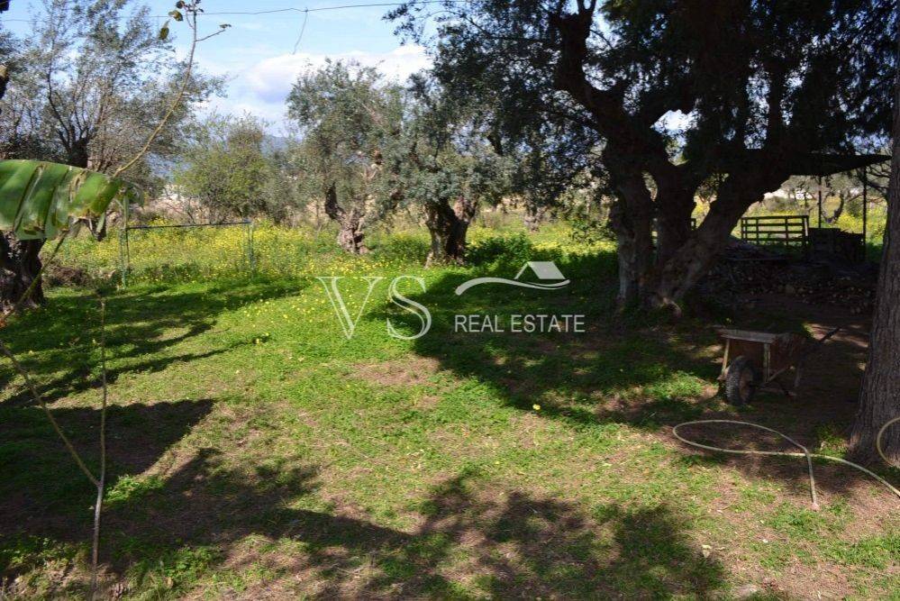 άποψη οικοπέδου