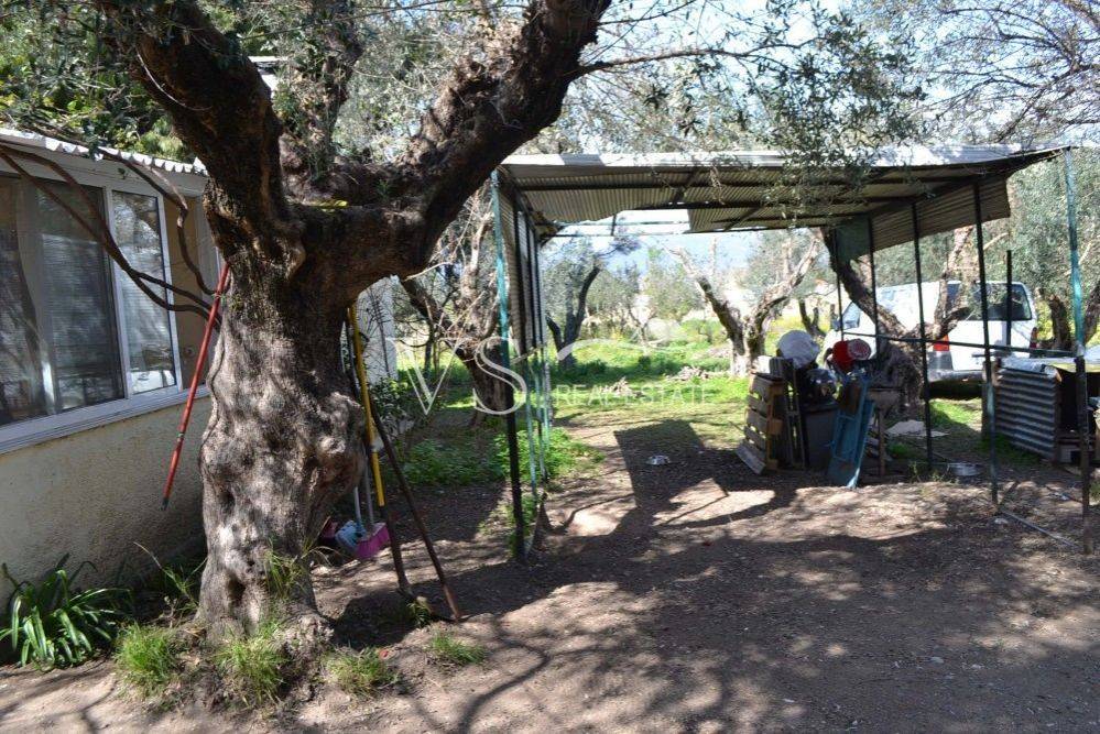 άποψη οικοπέδου