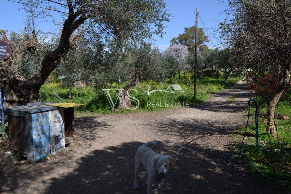 άποψη οικοπέδου