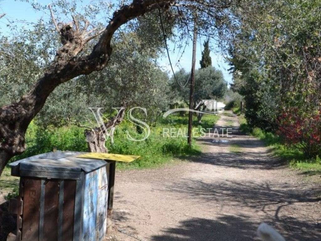 άποψη οικοπέδου