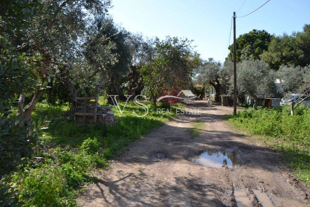 άποψη οικοπέδου