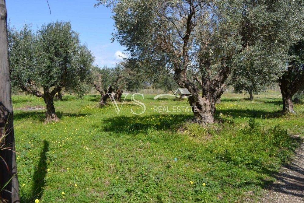 άποψη οικοπέδου