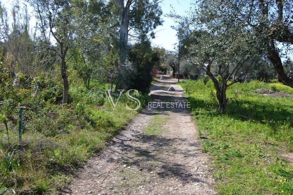 άποψη οικοπέδου