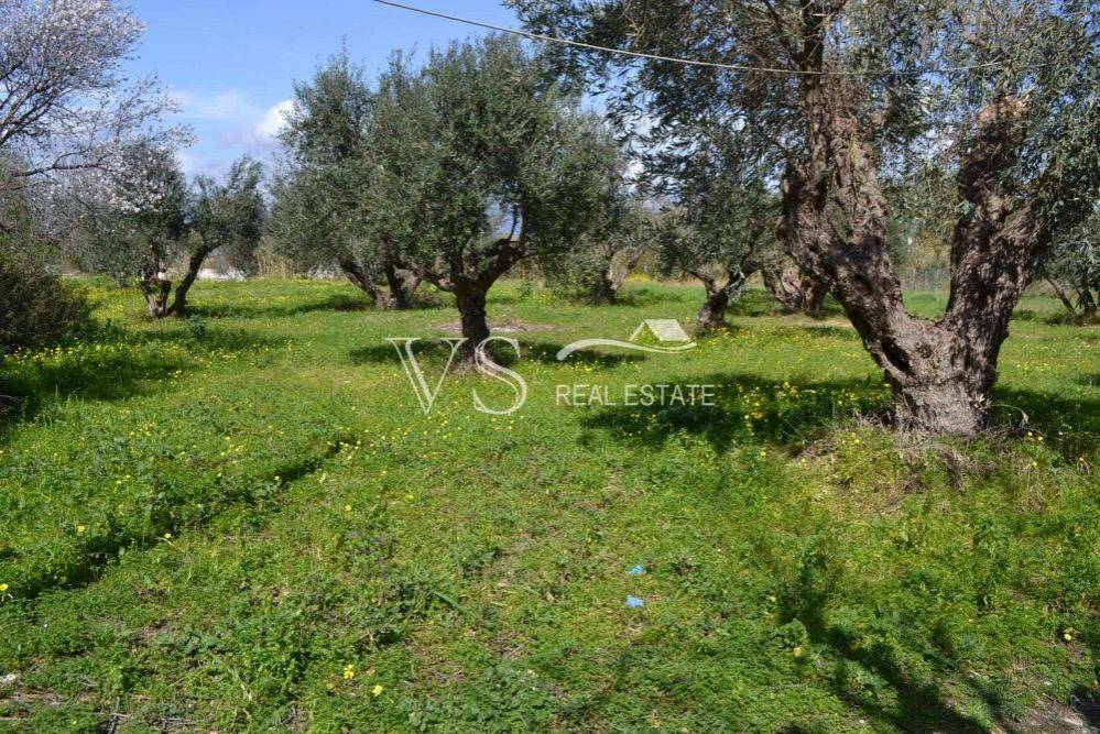 άποψη οικοπέδου