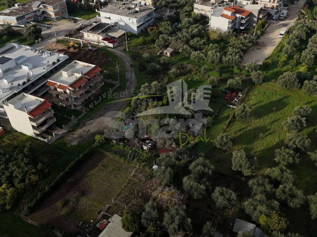 Εξωτερικοι χώροι