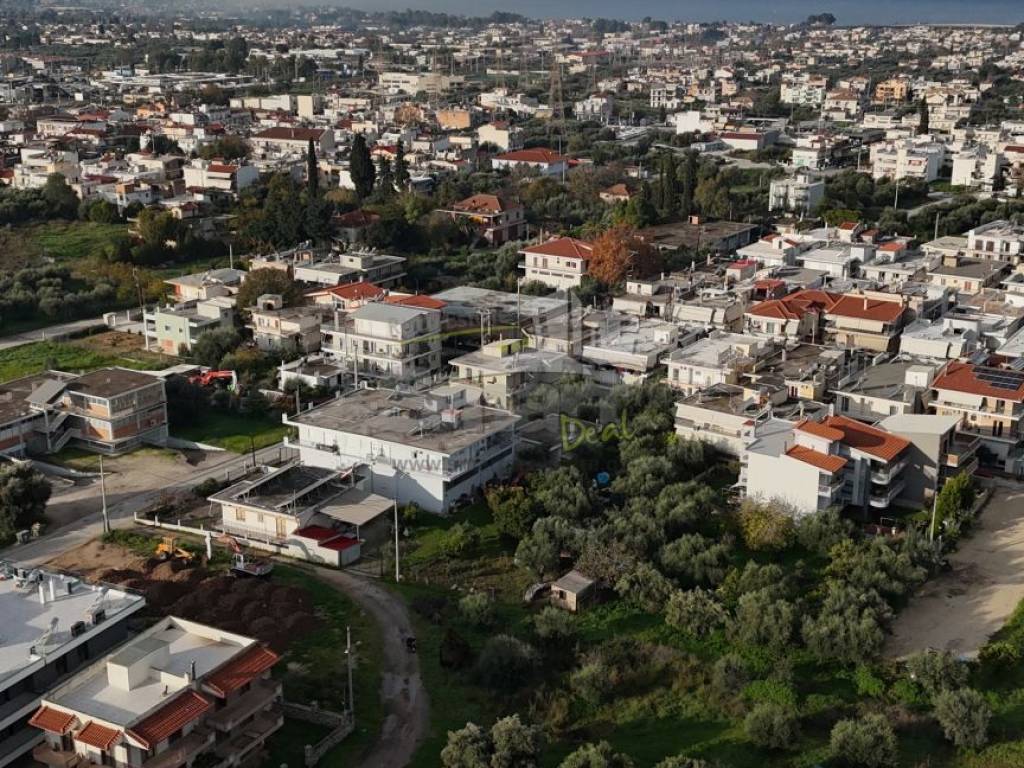 Εξωτερικοι χώροι