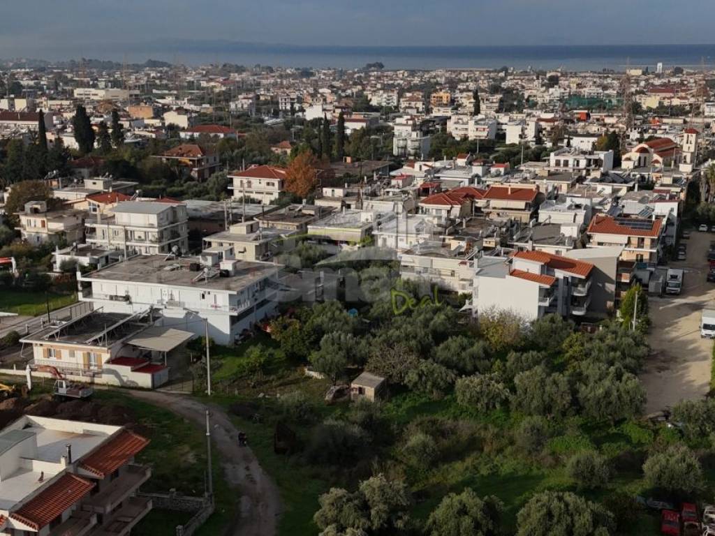 Εξωτερικοι χώροι