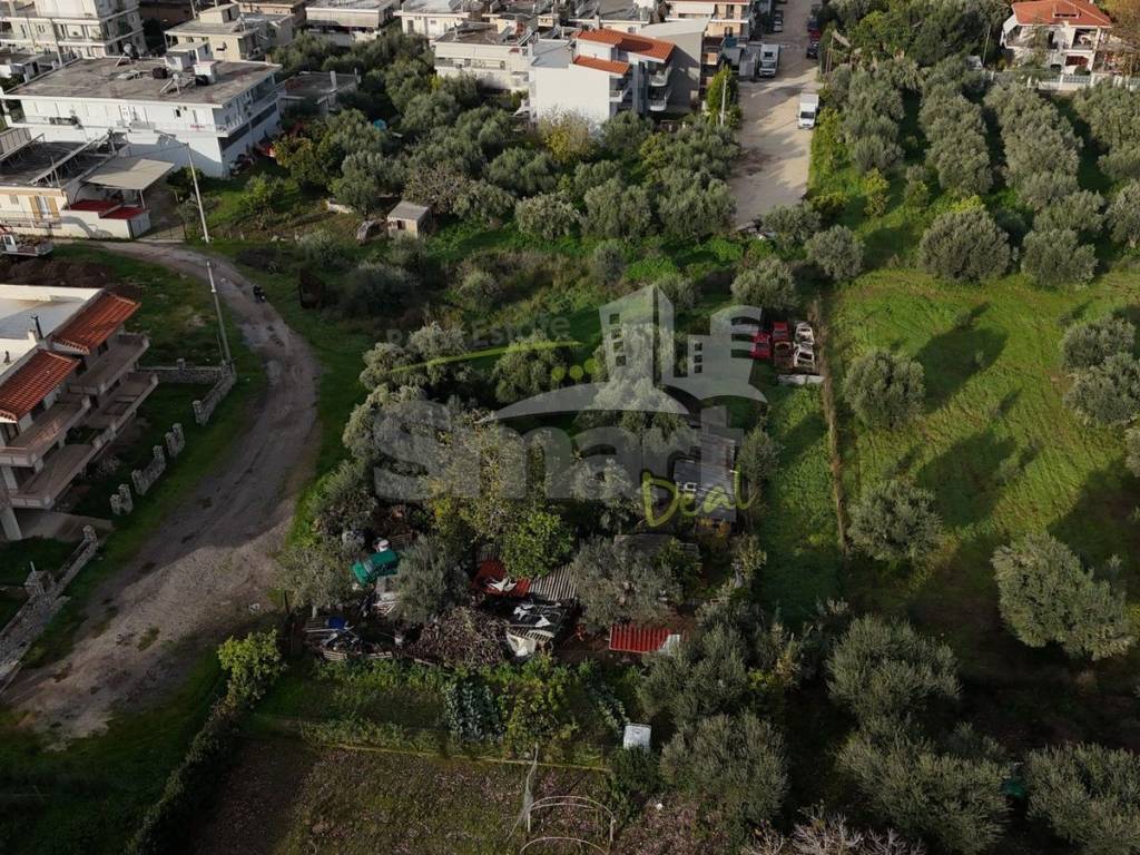 Εξωτερικοι χώροι