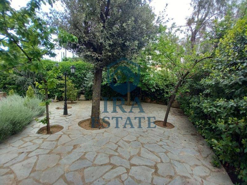 Ύπαρξη ανθρώπου