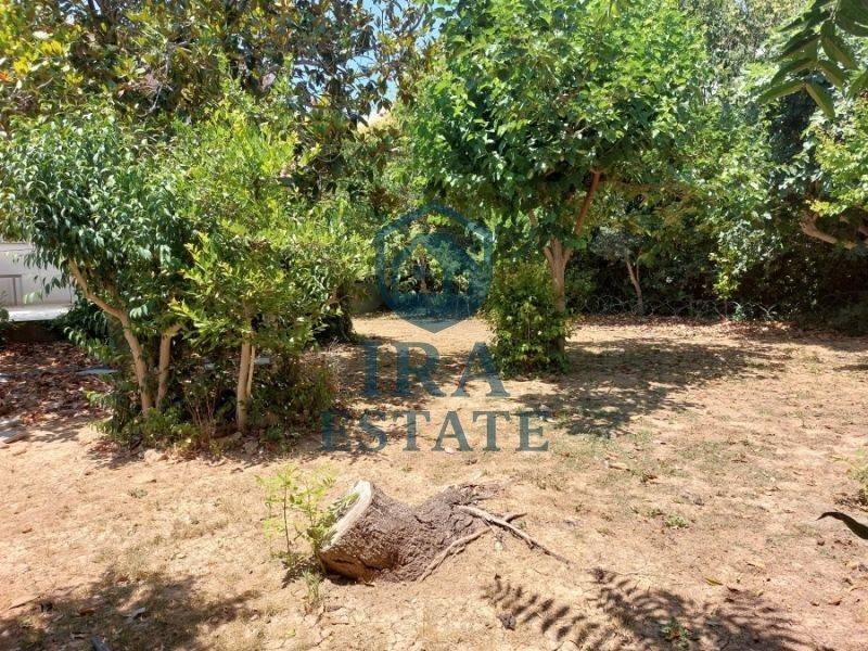 Ύπαρξη ανθρώπου