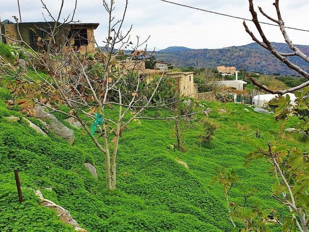 Detached - Grekodom 64555|1033189