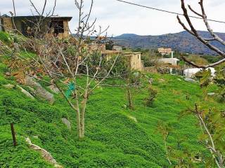 Detached - Grekodom 64555|1033189