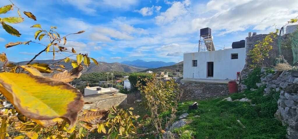 Detached - Grekodom 64555|1035925