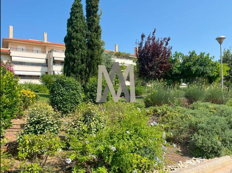 Εξωτερικοι χώροι