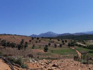 Plot - Grekodom 64550|1035906