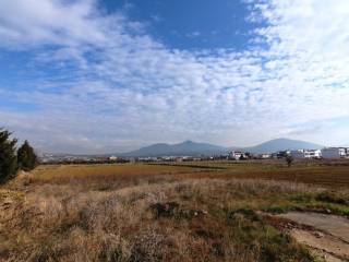 Plot - Grekodom 21029|266773