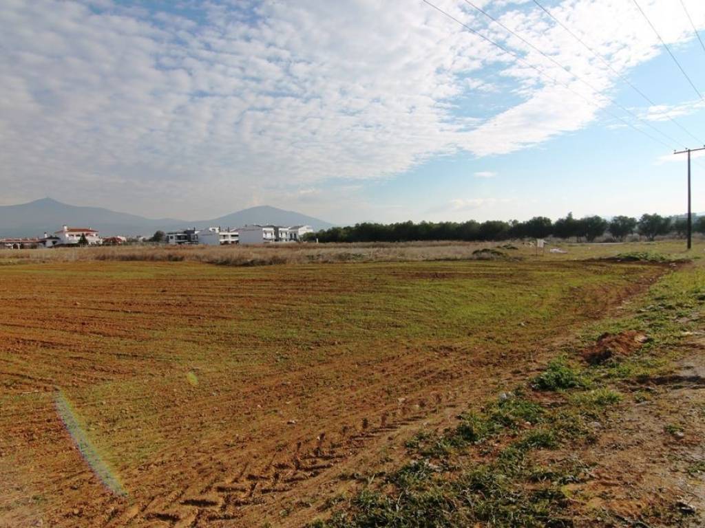 Plot - Grekodom 21029|266775