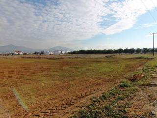 Plot - Grekodom 21029|266775