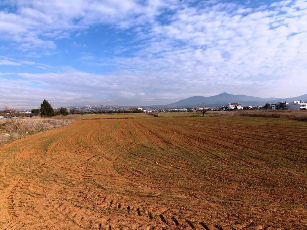 Plot - Grekodom 21029|266776