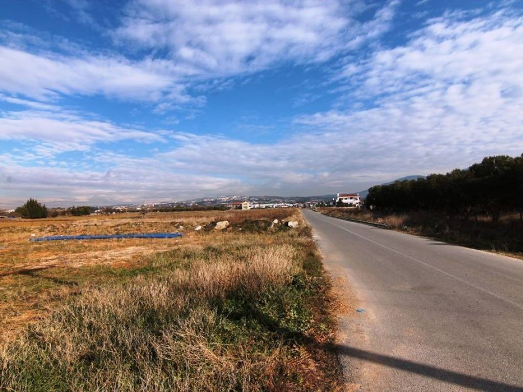 Plot - Grekodom 21029|266780