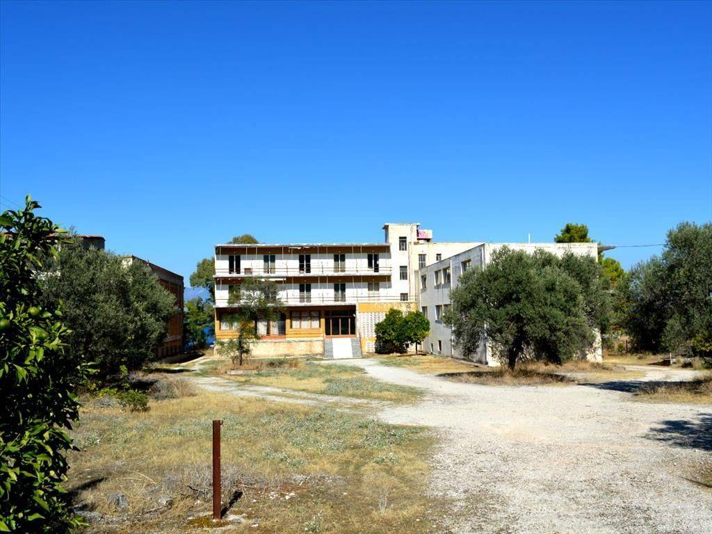 Hotel - Grekodom 20200|255641