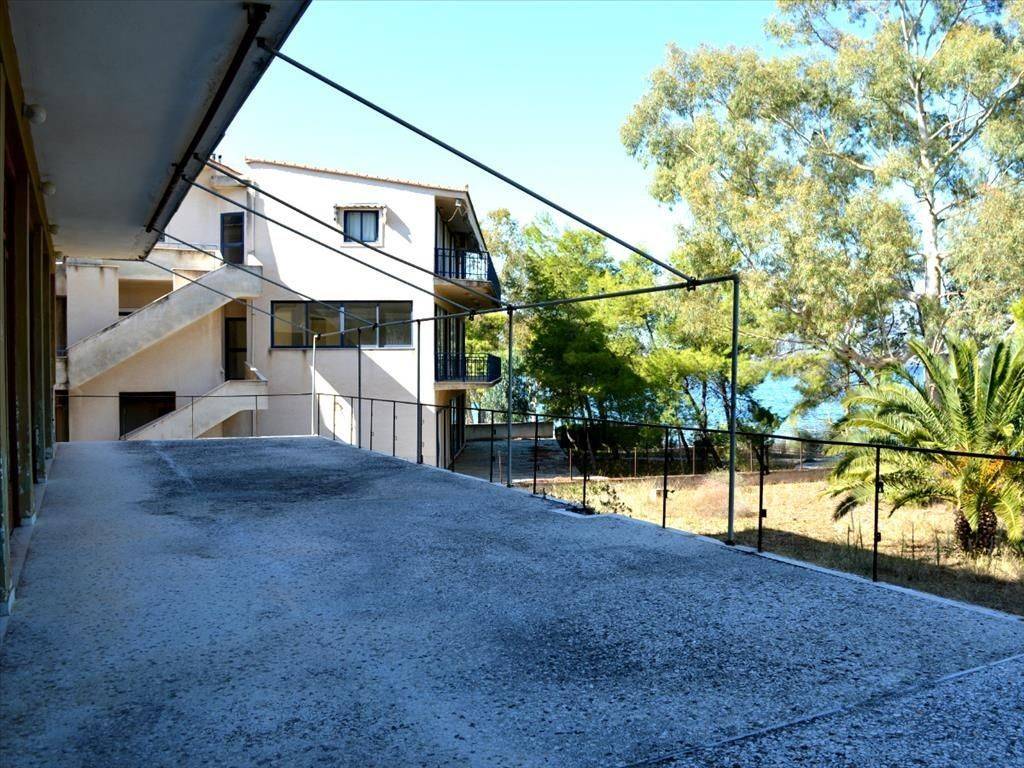 Hotel - Grekodom 20200|255646