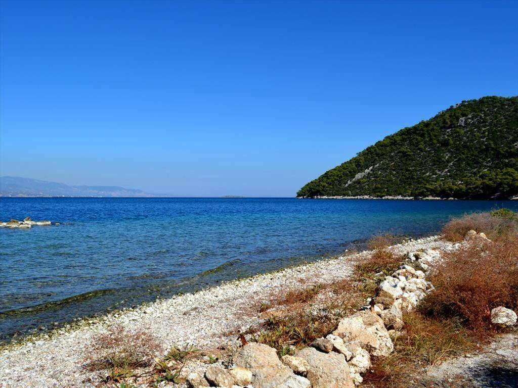 Hotel - Grekodom 20200|255643