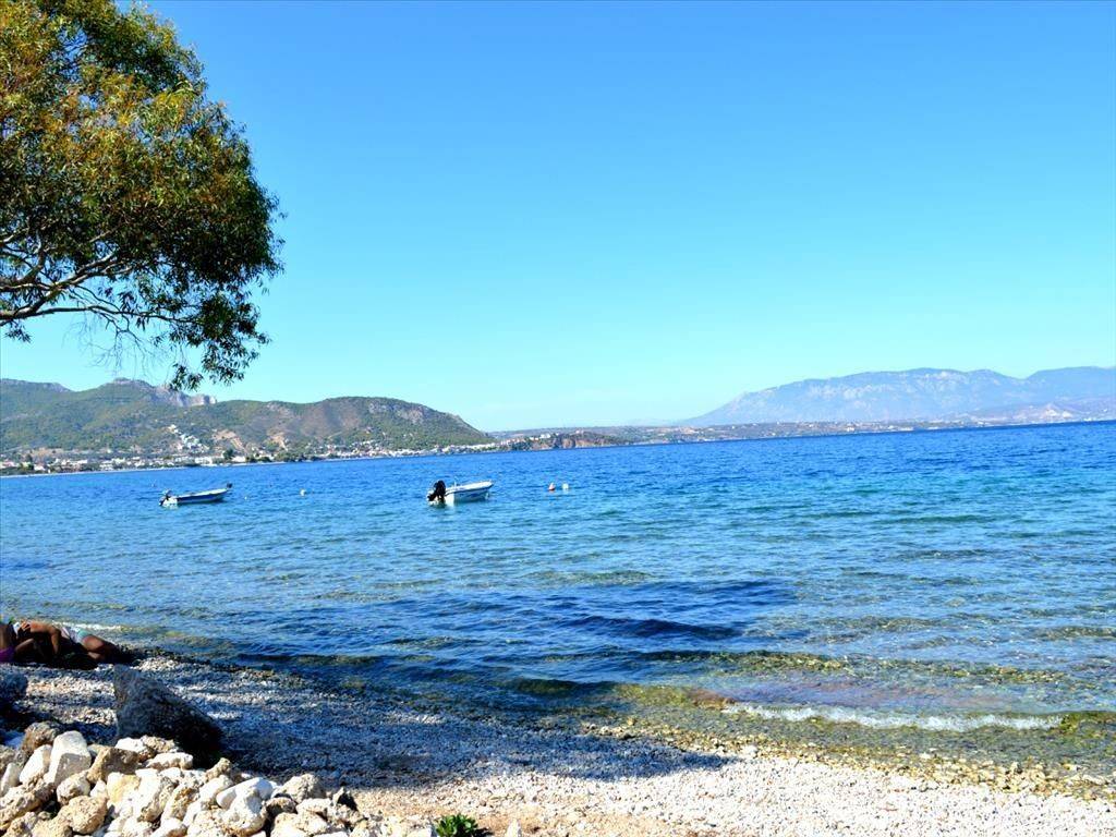 Hotel - Grekodom 20200|255644