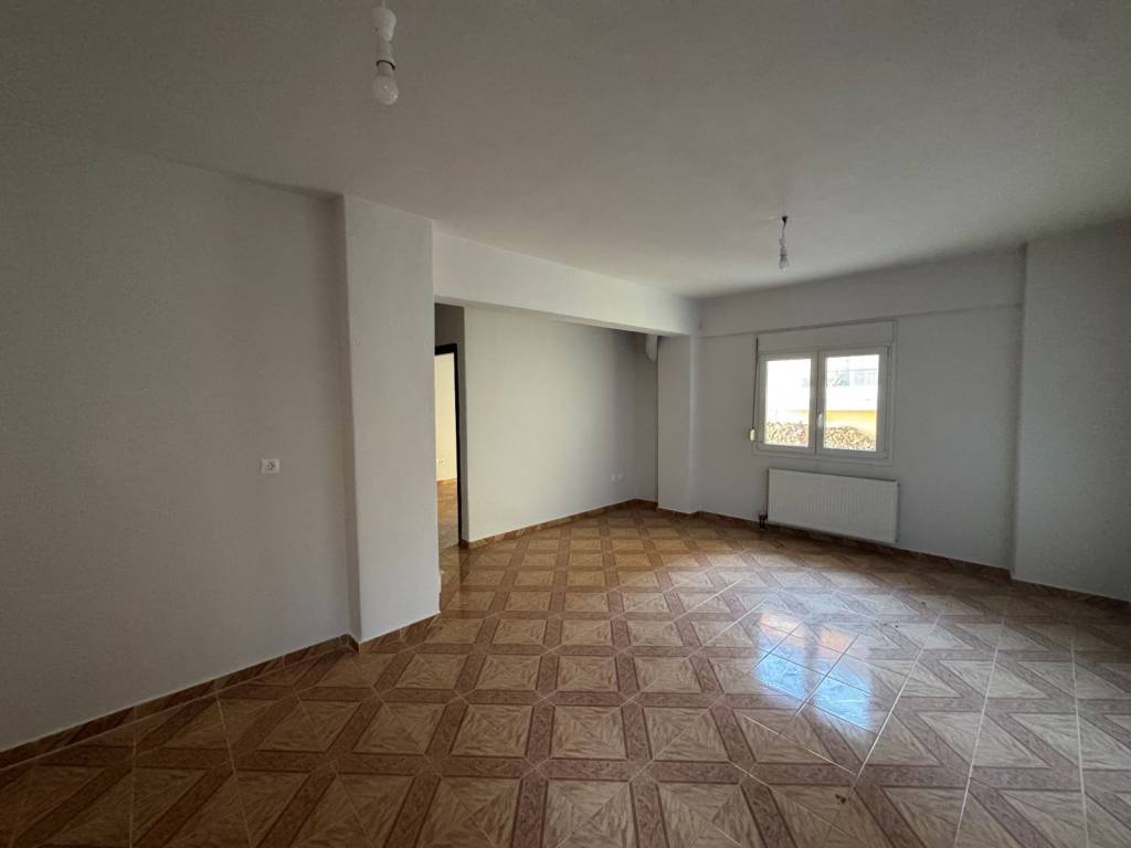 Salonokoyzina isogeioy