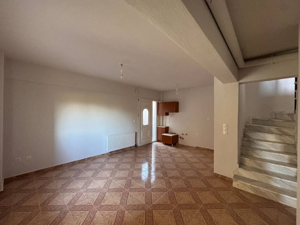 Salonokoyzina isogeioy