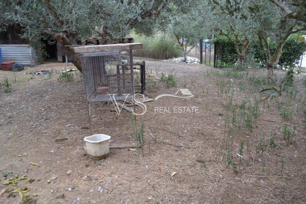 Άποψη χώρου