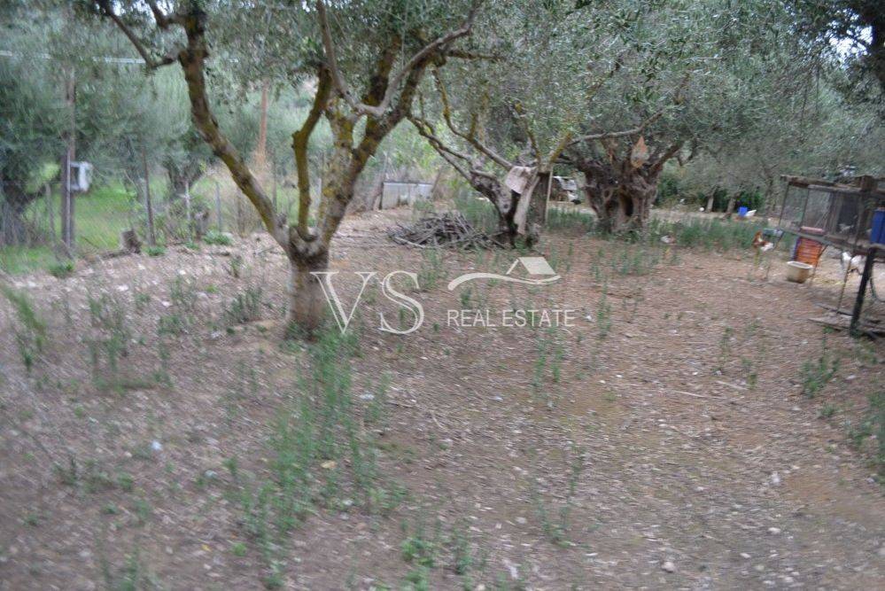 Άποψη χώρου