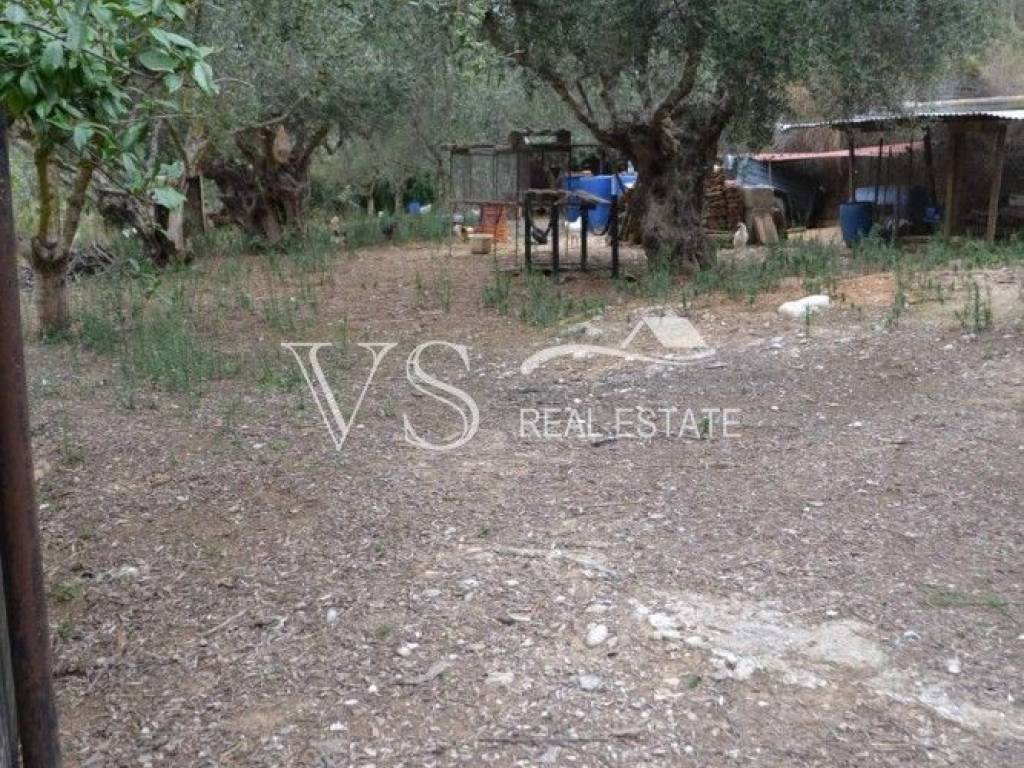 Άποψη χώρου