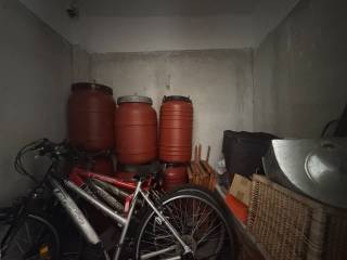 Mpanio protoy orophoy