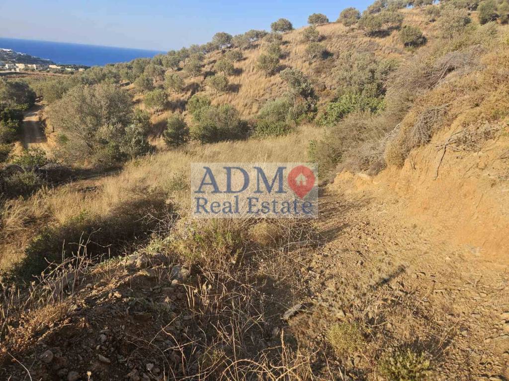 Εξωτερικοι χώροι