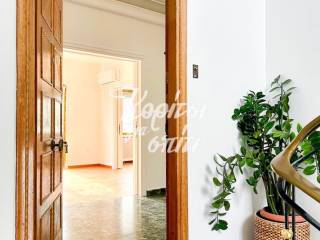 Kyria eisodos diamerismatos.