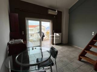 Σαλοκουζίνα