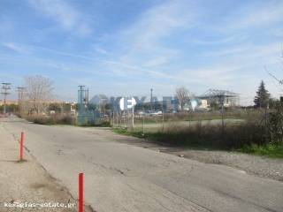 ΕΞΩΤΕΡΙΚΗ ΛΗΨΗ