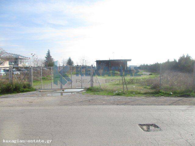 ΕΞΩΤΕΡΙΚΗ ΛΗΨΗ