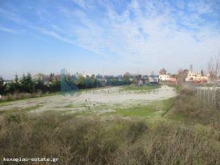 ΕΞΩΤΕΡΙΚΗ ΛΗΨΗ