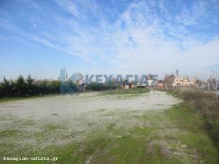 ΕΞΩΤΕΡΙΚΗ ΛΗΨΗ