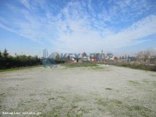 ΕΞΩΤΕΡΙΚΗ ΛΗΨΗ