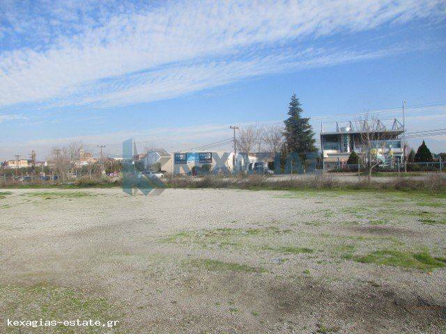 ΕΞΩΤΕΡΙΚΗ ΛΗΨΗ