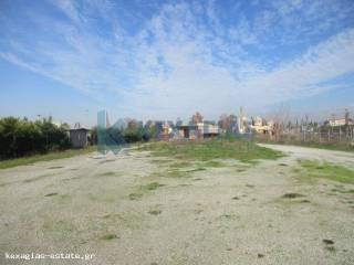 ΕΞΩΤΕΡΙΚΗ ΛΗΨΗ