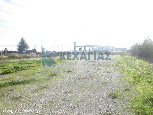 ΕΞΩΤΕΡΙΚΗ ΛΗΨΗ