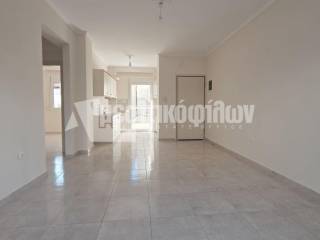 Σαλοκουζίνα