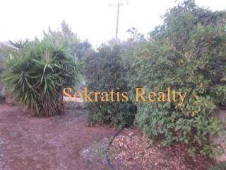 Ύπαρξη ανθρώπου